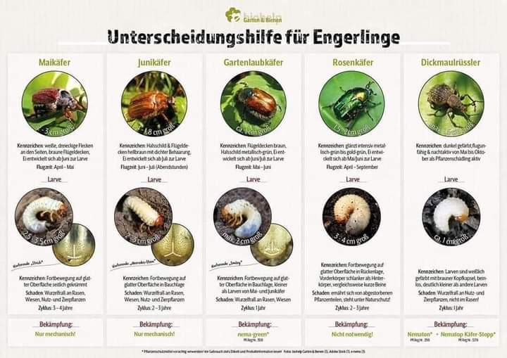 Veröffentlichung biohelp Garten&Bienen - www.garten-bienen.at Veröffentlichung biohelp Garten&Bienen - www.garten-bienen.at